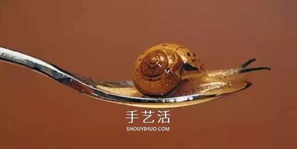 真沒(méi)糊弄你！韓國(guó)畫(huà)家一筆一筆畫(huà)的超寫實(shí)畫(huà) -  itrip.net.cn