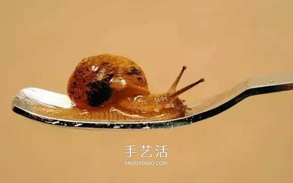 真沒(méi)糊弄你！韓國(guó)畫(huà)家一筆一筆畫(huà)的超寫實(shí)畫(huà) -  itrip.net.cn
