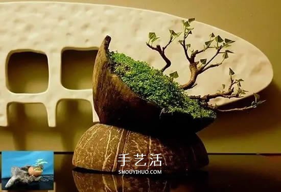 椰子殼可以利用來做什么 椰子殼創(chuàng)意手工大全 -  itrip.net.cn