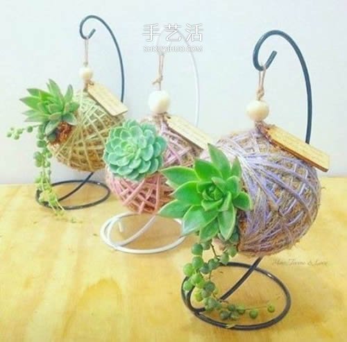 別浪費(fèi)錢(qián)買(mǎi)花盆！用繩子就可以種出美麗多肉 -  itrip.net.cn