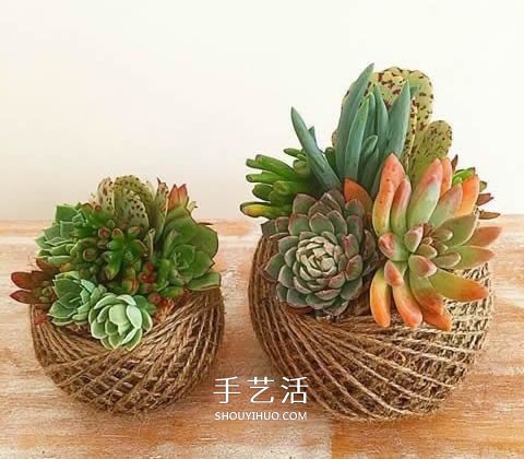 別浪費(fèi)錢(qián)買(mǎi)花盆！用繩子就可以種出美麗多肉 -  itrip.net.cn