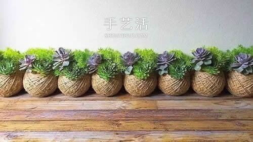 別浪費(fèi)錢(qián)買(mǎi)花盆！用繩子就可以種出美麗多肉 -  itrip.net.cn