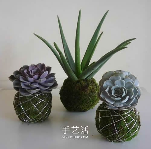 別浪費(fèi)錢(qián)買(mǎi)花盆！用繩子就可以種出美麗多肉 -  itrip.net.cn