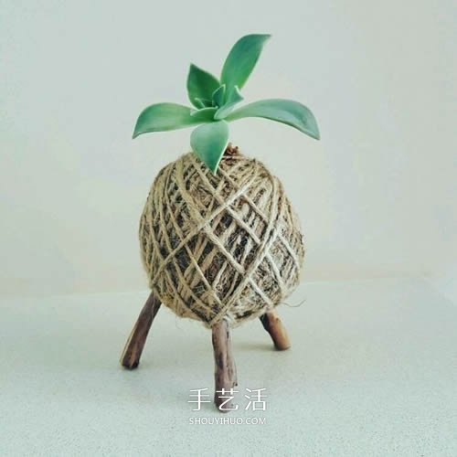 別浪費(fèi)錢(qián)買(mǎi)花盆！用繩子就可以種出美麗多肉 -  itrip.net.cn