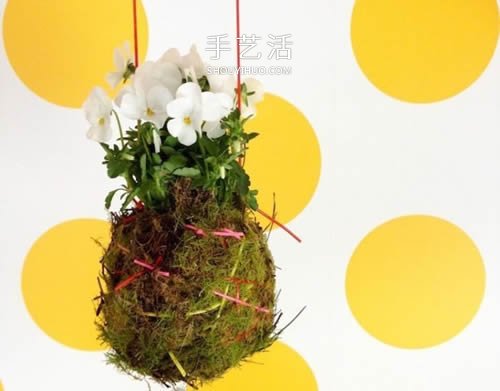 別浪費(fèi)錢(qián)買(mǎi)花盆！用繩子就可以種出美麗多肉 -  itrip.net.cn