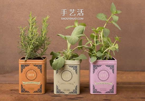 不花一分錢！廢物利用做花盆美到讓鄰居羨慕 -  itrip.net.cn