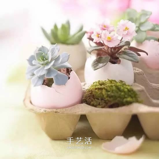 不花一分錢！廢物利用做花盆美到讓鄰居羨慕 -  itrip.net.cn