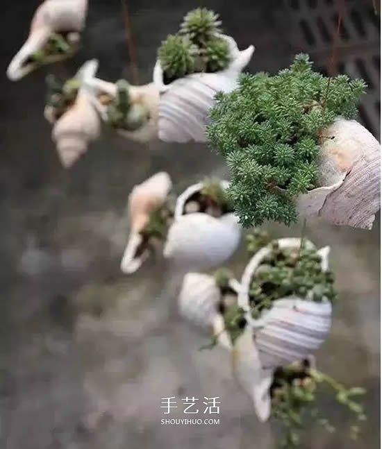 不花一分錢！廢物利用做花盆美到讓鄰居羨慕 -  itrip.net.cn