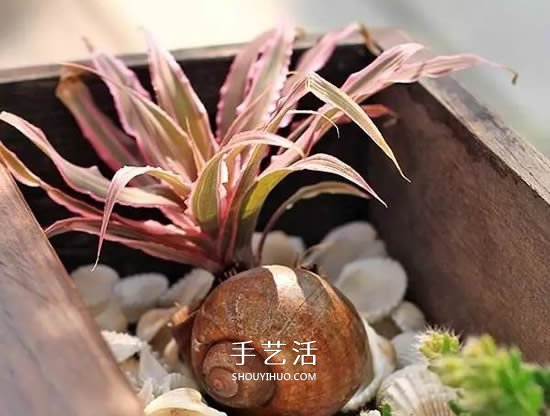 不花一分錢！廢物利用做花盆美到讓鄰居羨慕 -  itrip.net.cn