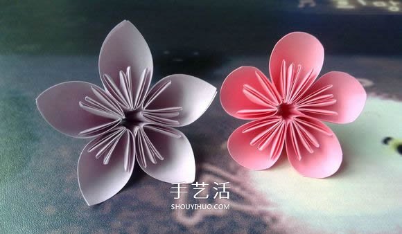 肯定學(xué)得會(huì)！超簡(jiǎn)單五瓣櫻花的折紙方法步驟 -  itrip.net.cn
