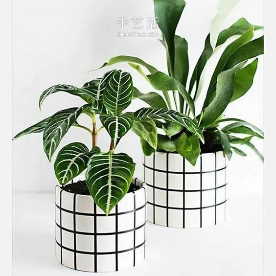 用水泥制作花盆的過(guò)程 簡(jiǎn)單還帶有治愈效果！ -  itrip.net.cn
