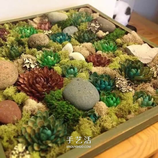 開心果殼粘畫手工制作 這么全的DIY可別錯過 -  itrip.net.cn