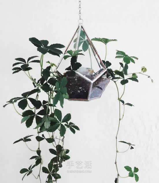 省地又好看的種花方式 原來花盆還能這么放 -  itrip.net.cn