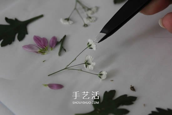 自制母親節(jié)壓花卡片 用干花做賀卡的方法圖解 -  itrip.net.cn