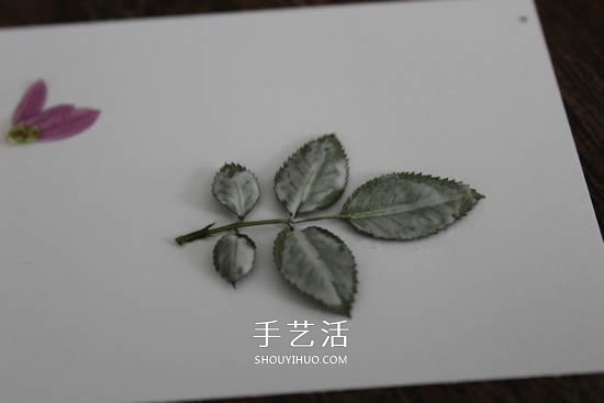 自制母親節(jié)壓花卡片 用干花做賀卡的方法圖解 -  itrip.net.cn