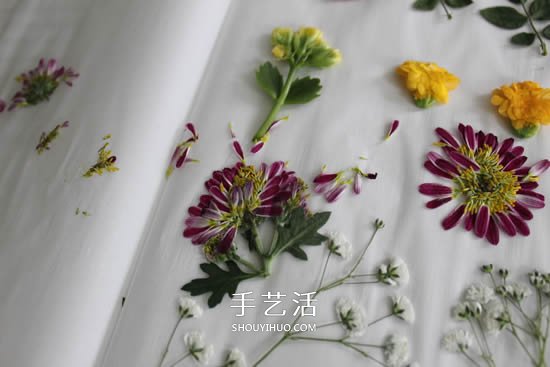 自制母親節(jié)壓花卡片 用干花做賀卡的方法圖解 -  itrip.net.cn