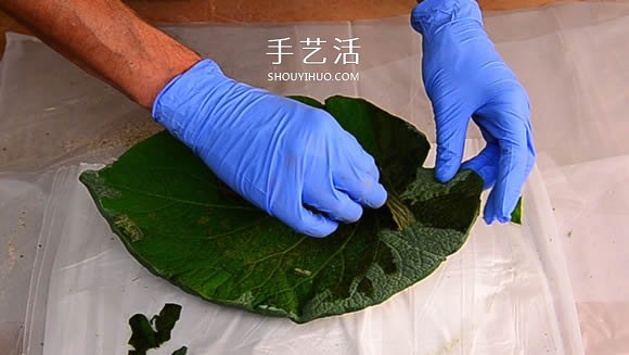 水泥混凝土葉子裝飾盤制作 也可以當(dāng)水果盤用！ -  itrip.net.cn