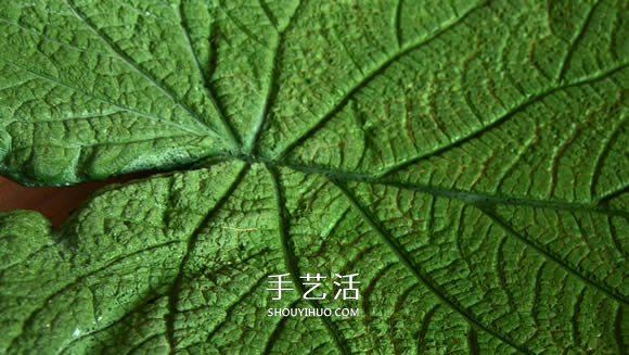 水泥混凝土葉子裝飾盤制作 也可以當(dāng)水果盤用！ -  itrip.net.cn