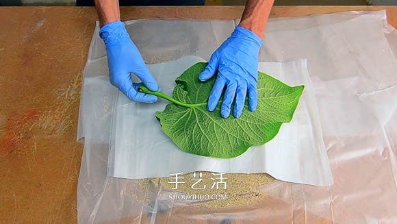 水泥混凝土葉子裝飾盤制作 也可以當(dāng)水果盤用！ -  itrip.net.cn