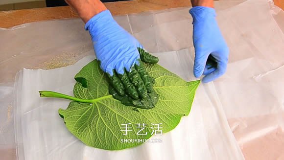 水泥混凝土葉子裝飾盤制作 也可以當(dāng)水果盤用！ -  itrip.net.cn