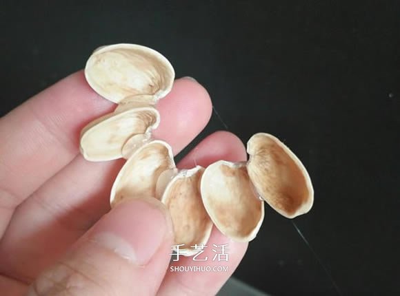 開心果殼手工制作插花裝飾品的做法 -  itrip.net.cn