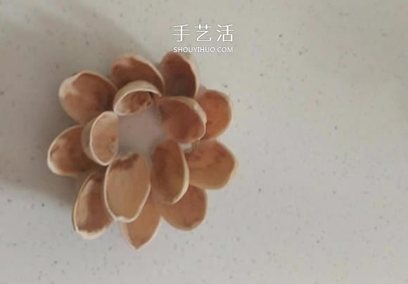 開心果殼手工制作插花裝飾品的做法 -  itrip.net.cn