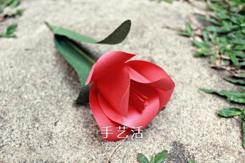 手揉紙手工制作超美郁金香花的做法 -  itrip.net.cn