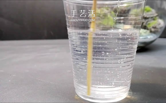 DIY微景觀的制作步驟詳細(xì)視頻教程 -  itrip.net.cn