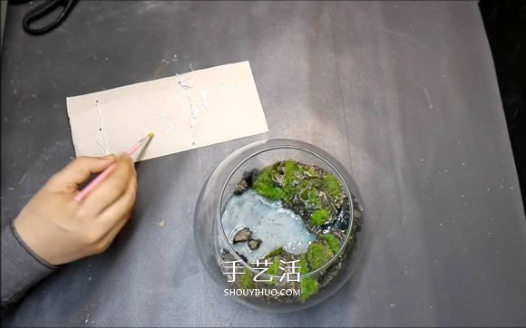 DIY微景觀的制作步驟詳細(xì)視頻教程 -  itrip.net.cn