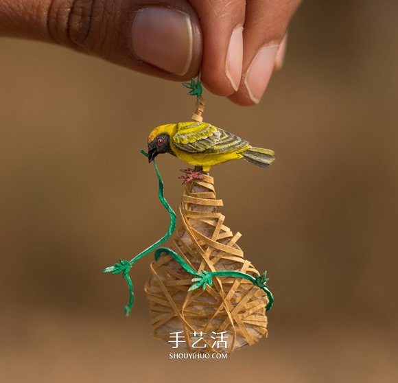 365天的堅持！剪紙出微型相思鳥、黃鸝…… -  itrip.net.cn