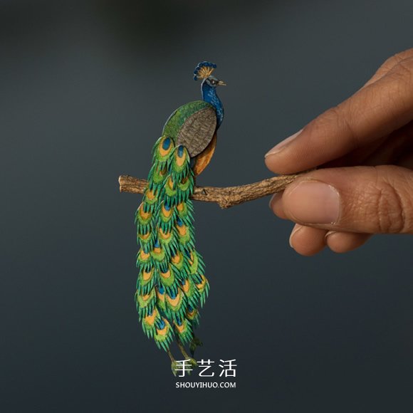 365天的堅持！剪紙出微型相思鳥、黃鸝…… -  itrip.net.cn