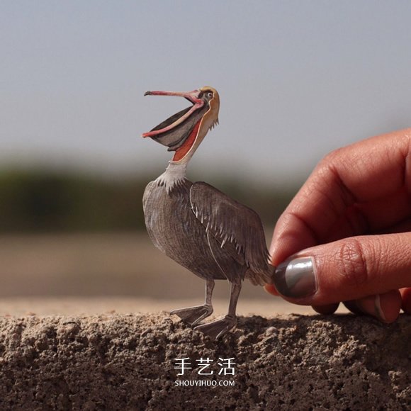 365天的堅持！剪紙出微型相思鳥、黃鸝…… -  itrip.net.cn