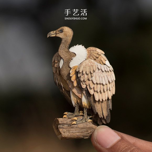365天的堅持！剪紙出微型相思鳥、黃鸝…… -  itrip.net.cn