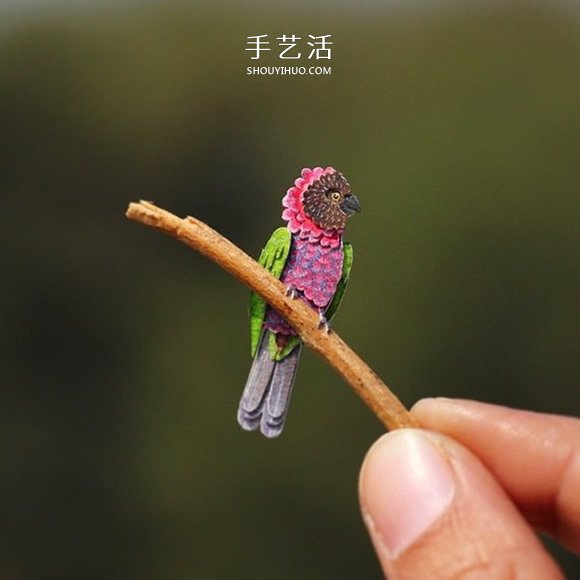 365天的堅持！剪紙出微型相思鳥、黃鸝…… -  itrip.net.cn
