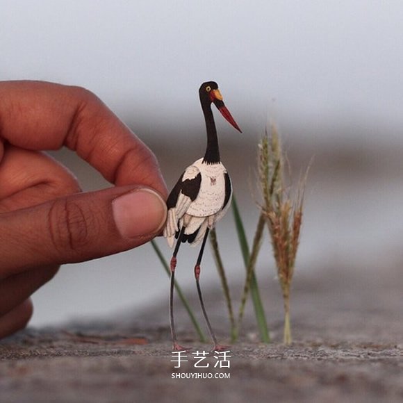 365天的堅持！剪紙出微型相思鳥、黃鸝…… -  itrip.net.cn