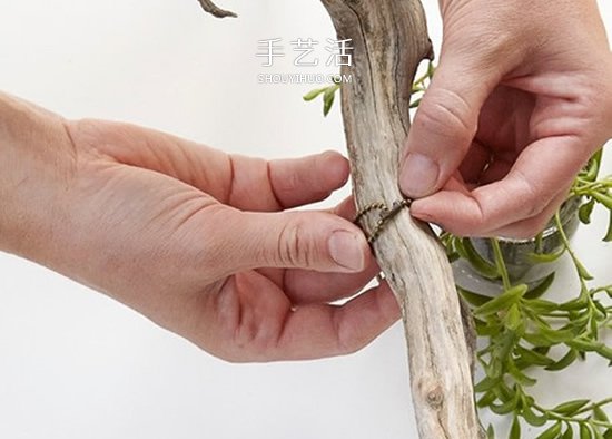 迷人的吊燈裝飾！枯枝和玻璃罐的再利用DIY -  itrip.net.cn