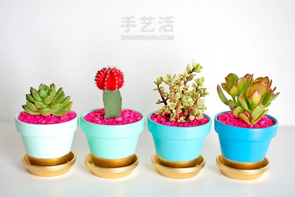 多肉花盆卡通畫！簡單手繪改造出超萌款 -  itrip.net.cn
