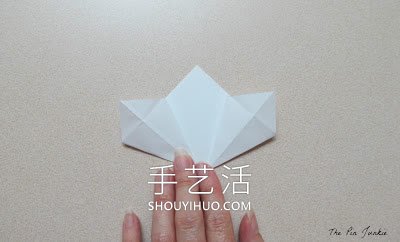 16款各種花DIY制作的迷人手工藝品裝飾 -  itrip.net.cn