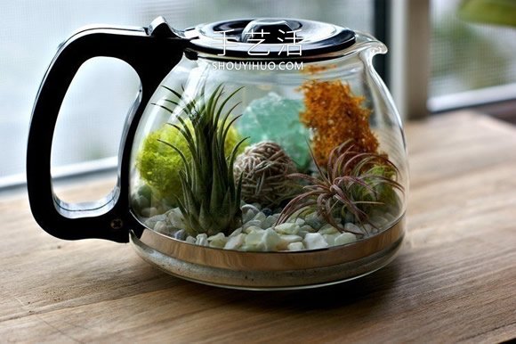 舊咖啡壺改造 DIY制作空氣植物盆景的方法 -  itrip.net.cn