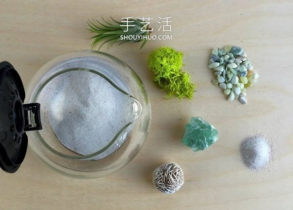 舊咖啡壺改造 DIY制作空氣植物盆景的方法 -  itrip.net.cn