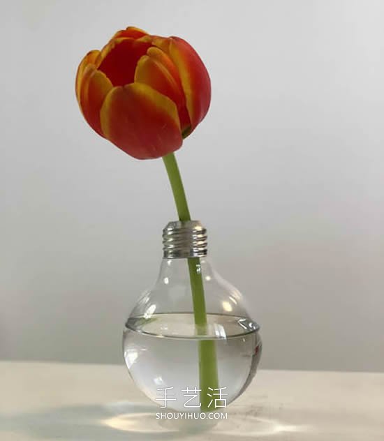 極簡風(fēng)格！用舊燈泡DIY優(yōu)雅花瓶的方法 -  itrip.net.cn