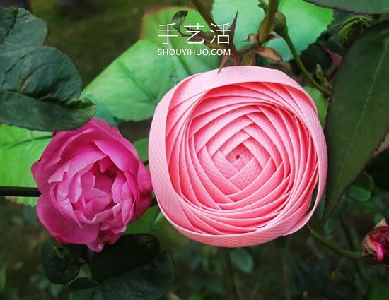 塑料包裝帶編織玫瑰花的方法圖解教程 -  itrip.net.cn
