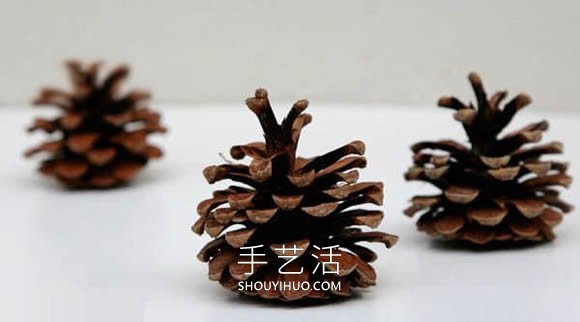 幼兒簡(jiǎn)單手工制作松果紅蘋(píng)果的做法教程 -  itrip.net.cn
