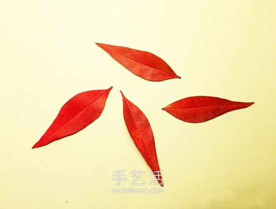 巧用樹葉、桂圓核做創(chuàng)意蜻蜓 -  itrip.net.cn