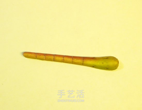 巧用樹葉、桂圓核做創(chuàng)意蜻蜓 -  itrip.net.cn