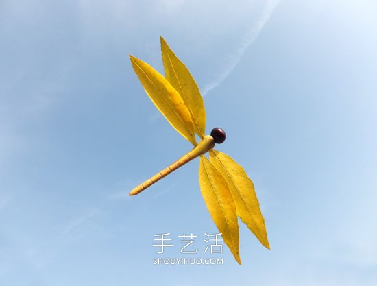 巧用樹葉、桂圓核做創(chuàng)意蜻蜓 -  itrip.net.cn