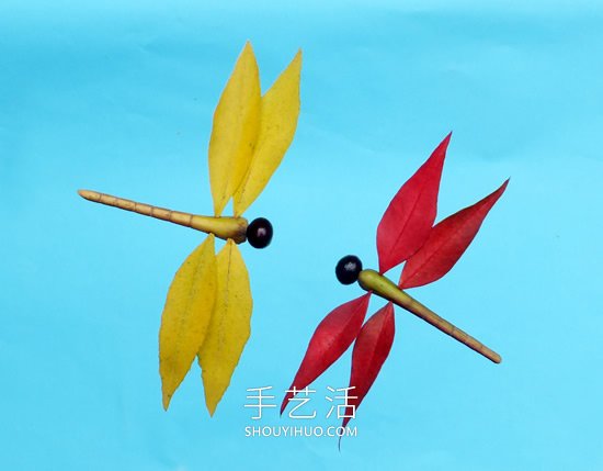 巧用樹葉、桂圓核做創(chuàng)意蜻蜓 -  itrip.net.cn