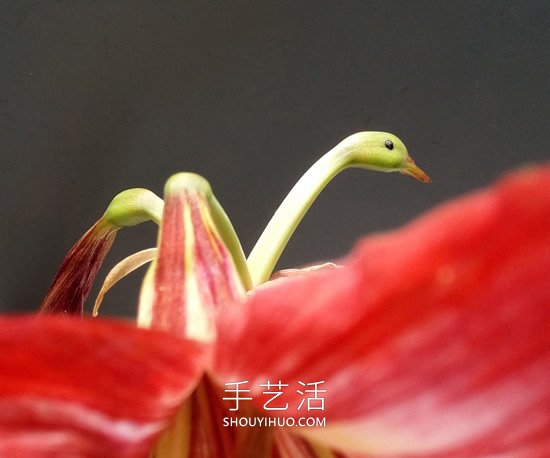 花兒還可以這樣玩！創(chuàng)意讓花兒變得這么有趣 -  itrip.net.cn
