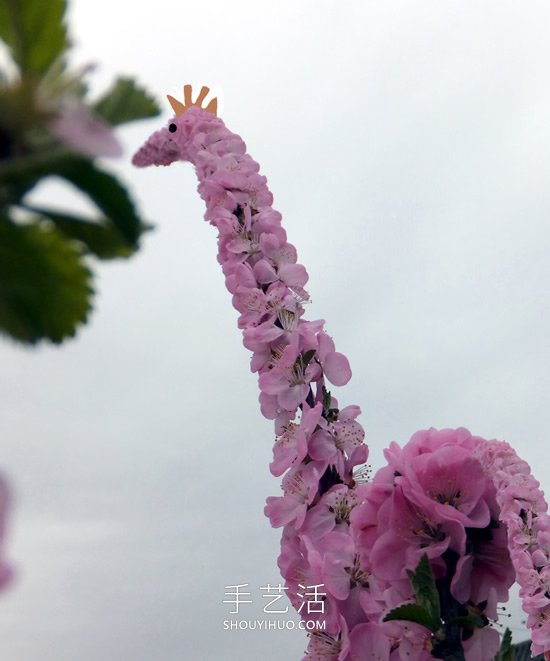 花兒還可以這樣玩！創(chuàng)意讓花兒變得這么有趣 -  itrip.net.cn