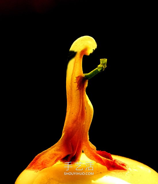 花兒還可以這樣玩！創(chuàng)意讓花兒變得這么有趣 -  itrip.net.cn